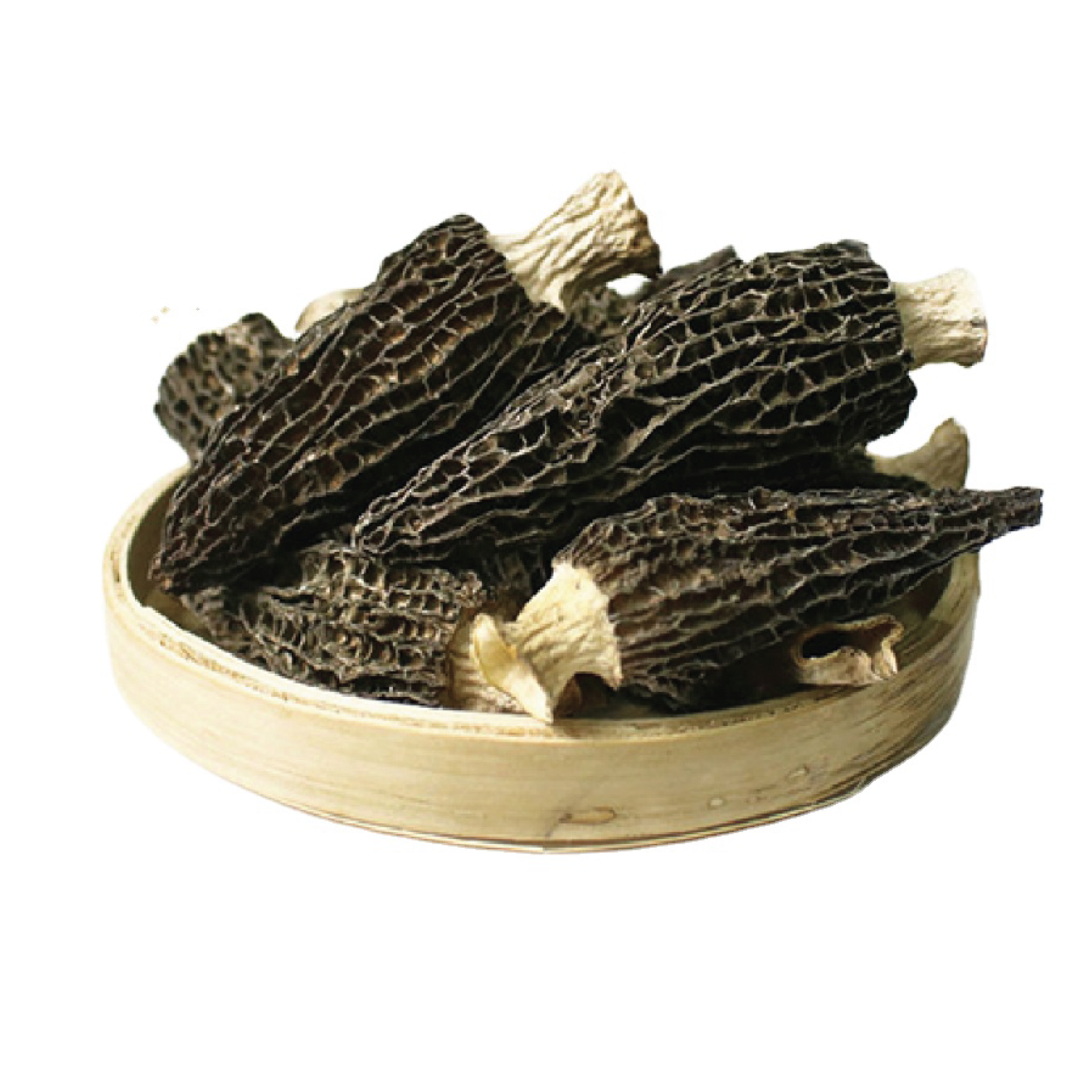 Πώς να επιλέξετε μορέλες για επιχειρήσεις επεξεργασίας τροφίμων;