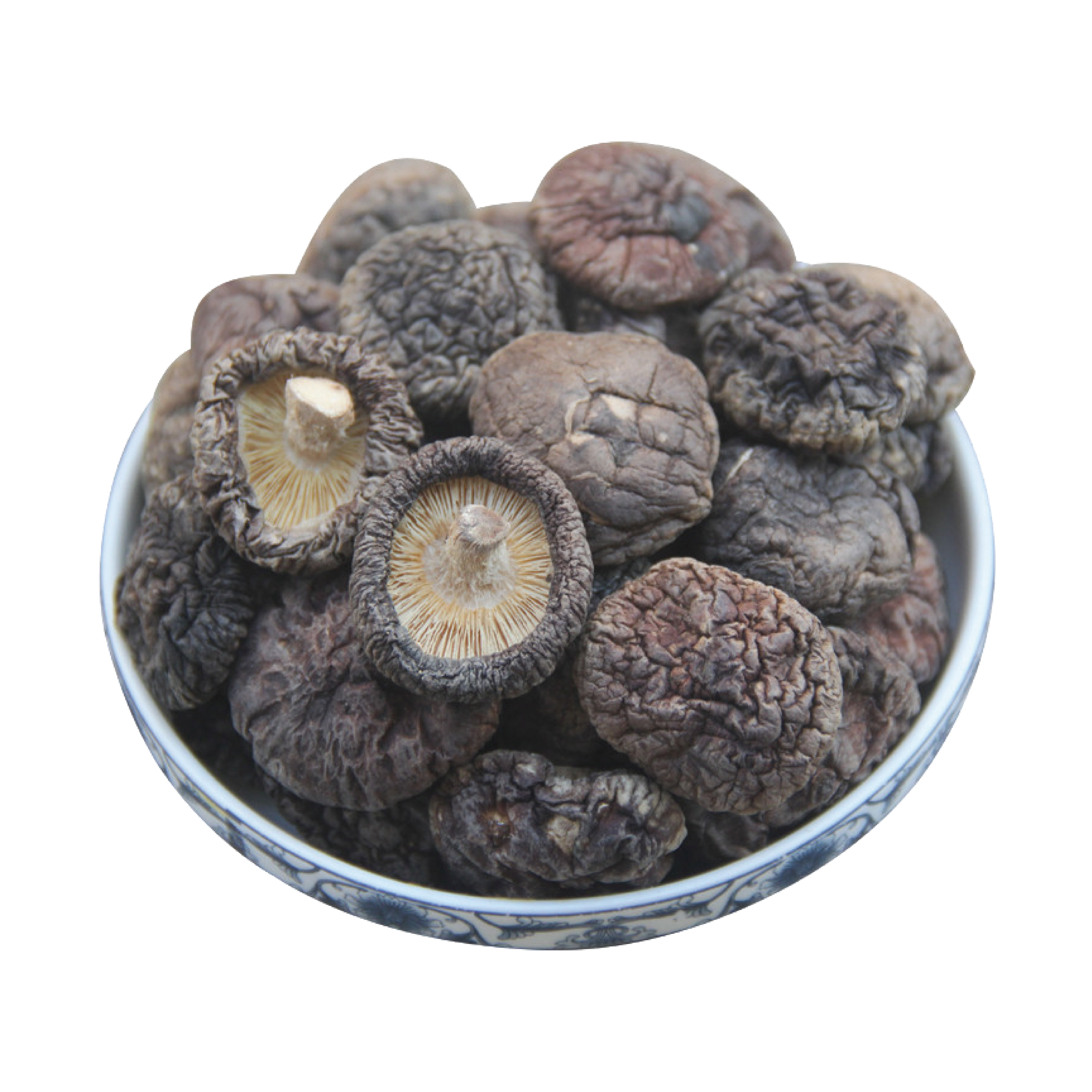 Grzyb Shiitake