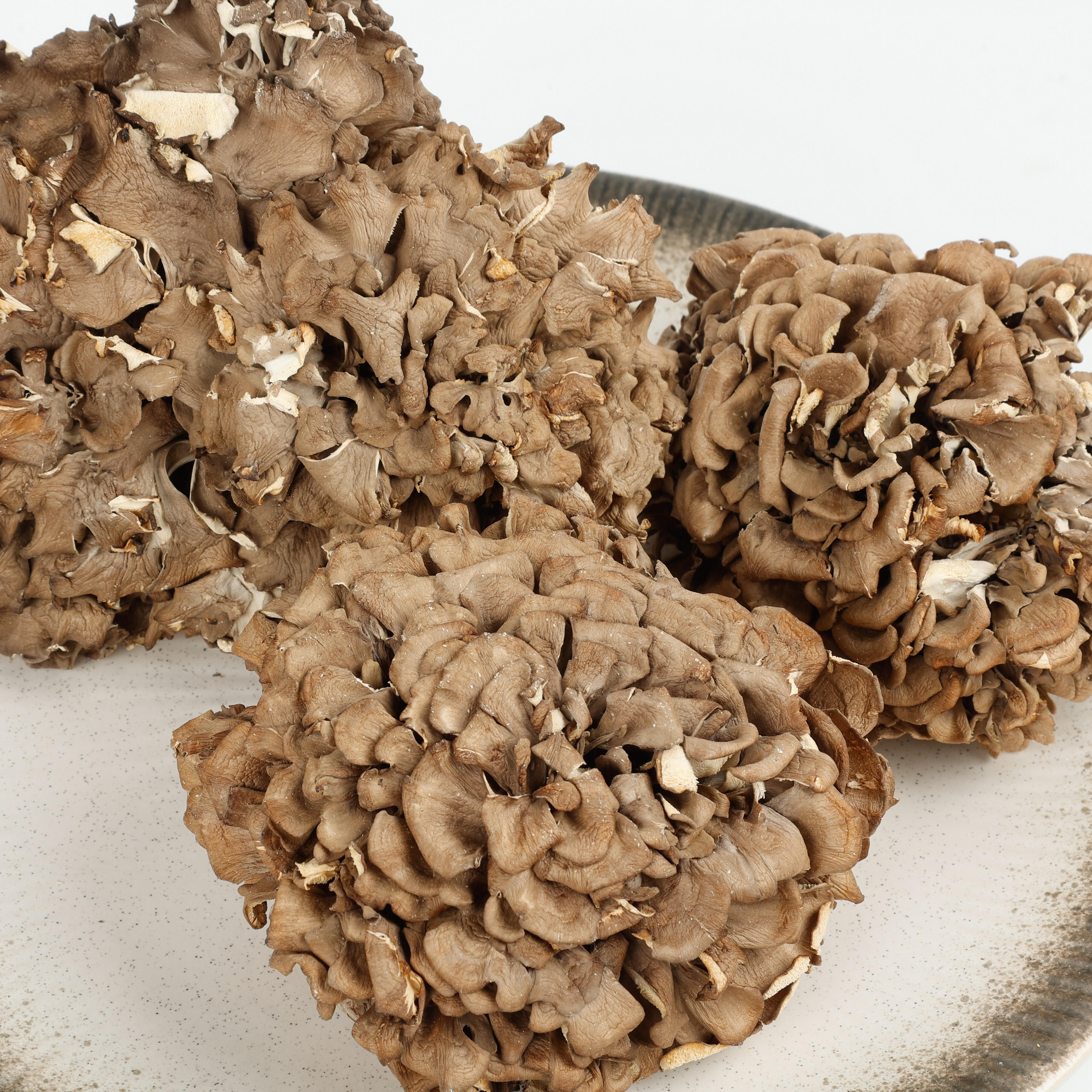 Maitake: El Asombroso Hongo que Promueve la Salud