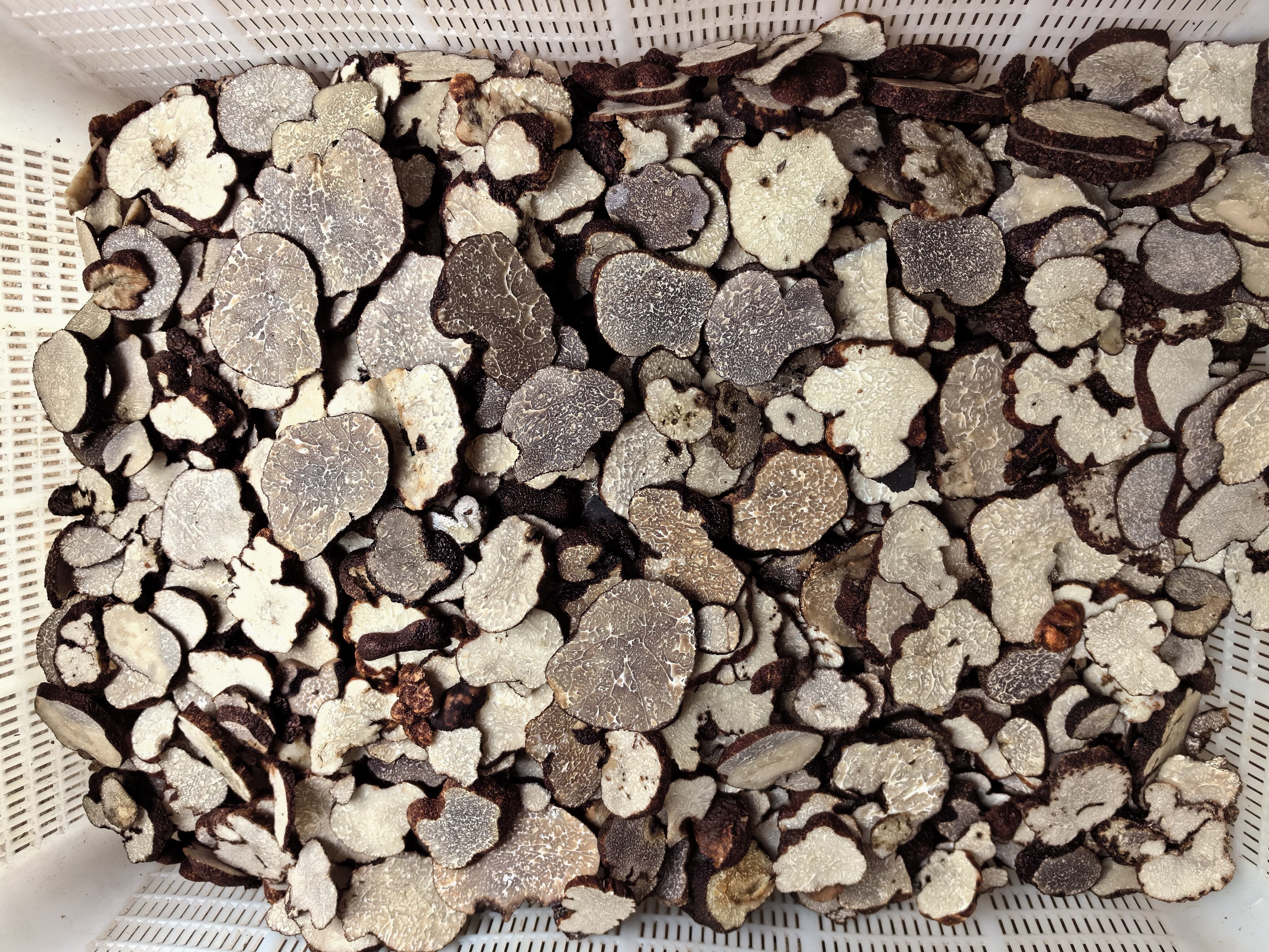 Which Chinese centers supply black truffle?