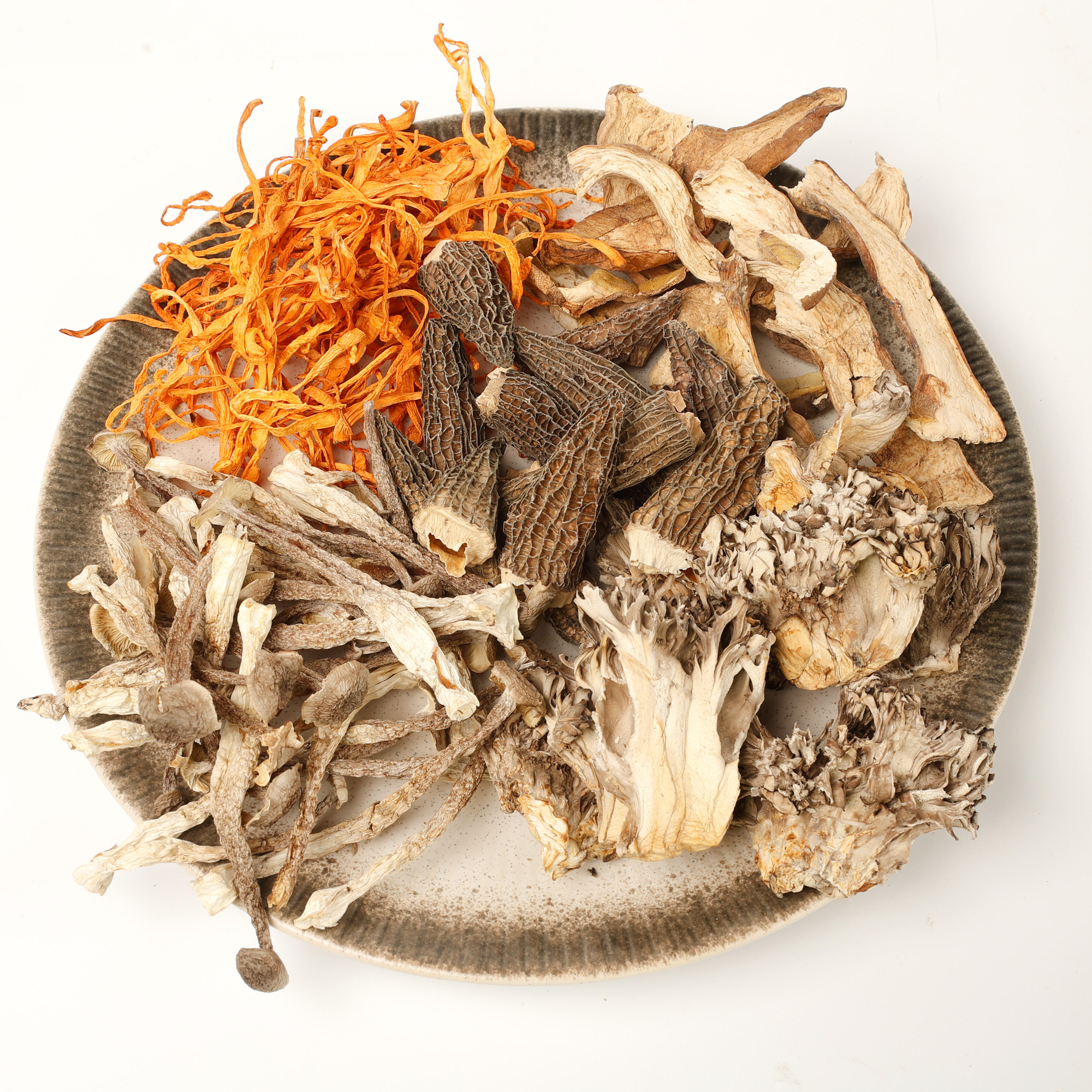 Boletus Edulis: Il Re dei Funghi