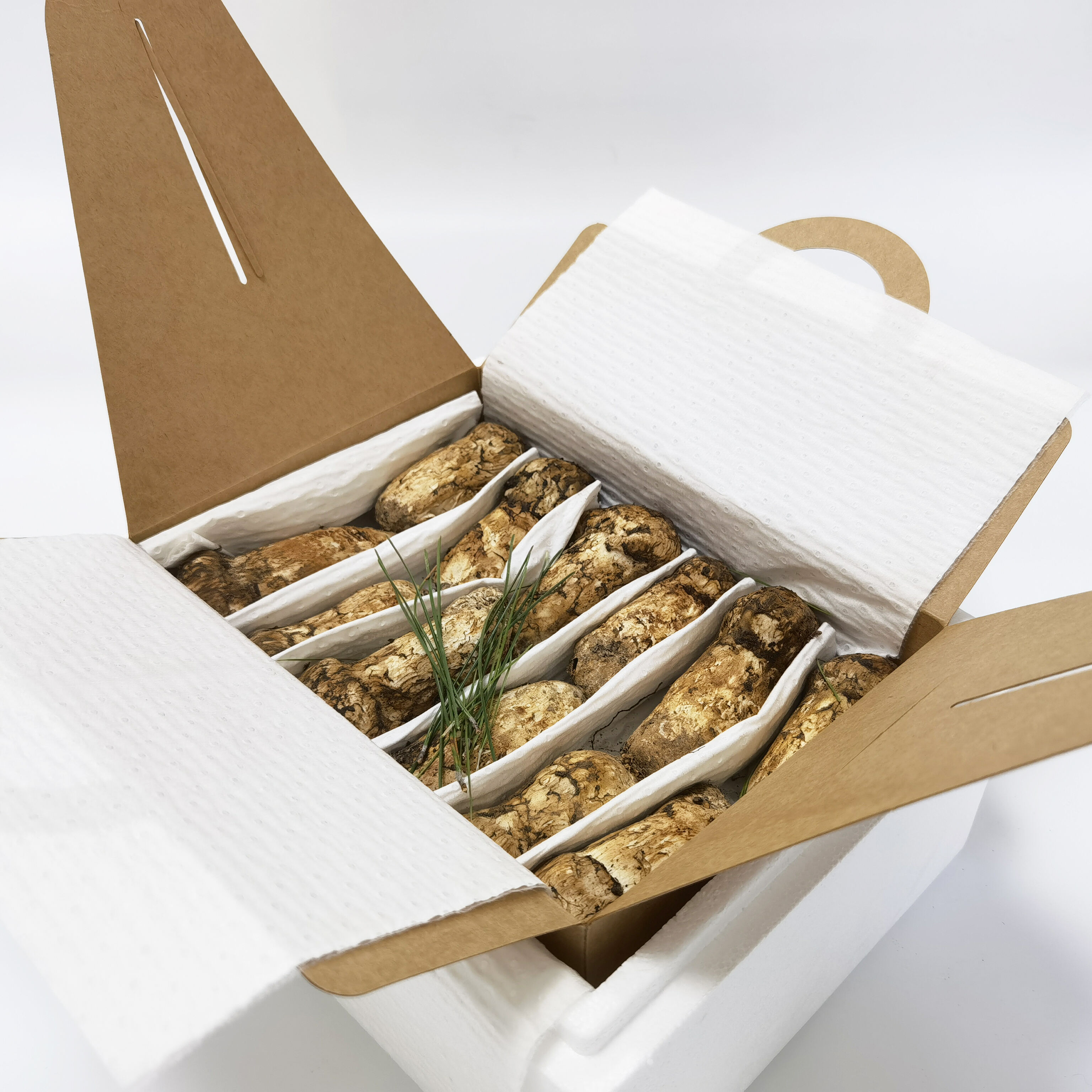 La valeur nutritive du matsutake