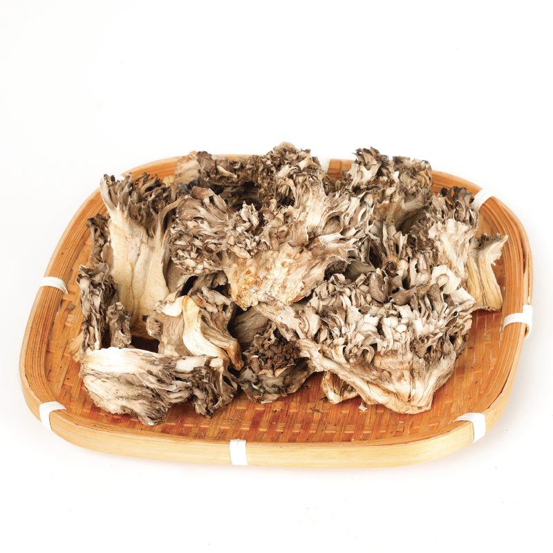 Maitake: El Asombroso Hongo que Promueve la Salud