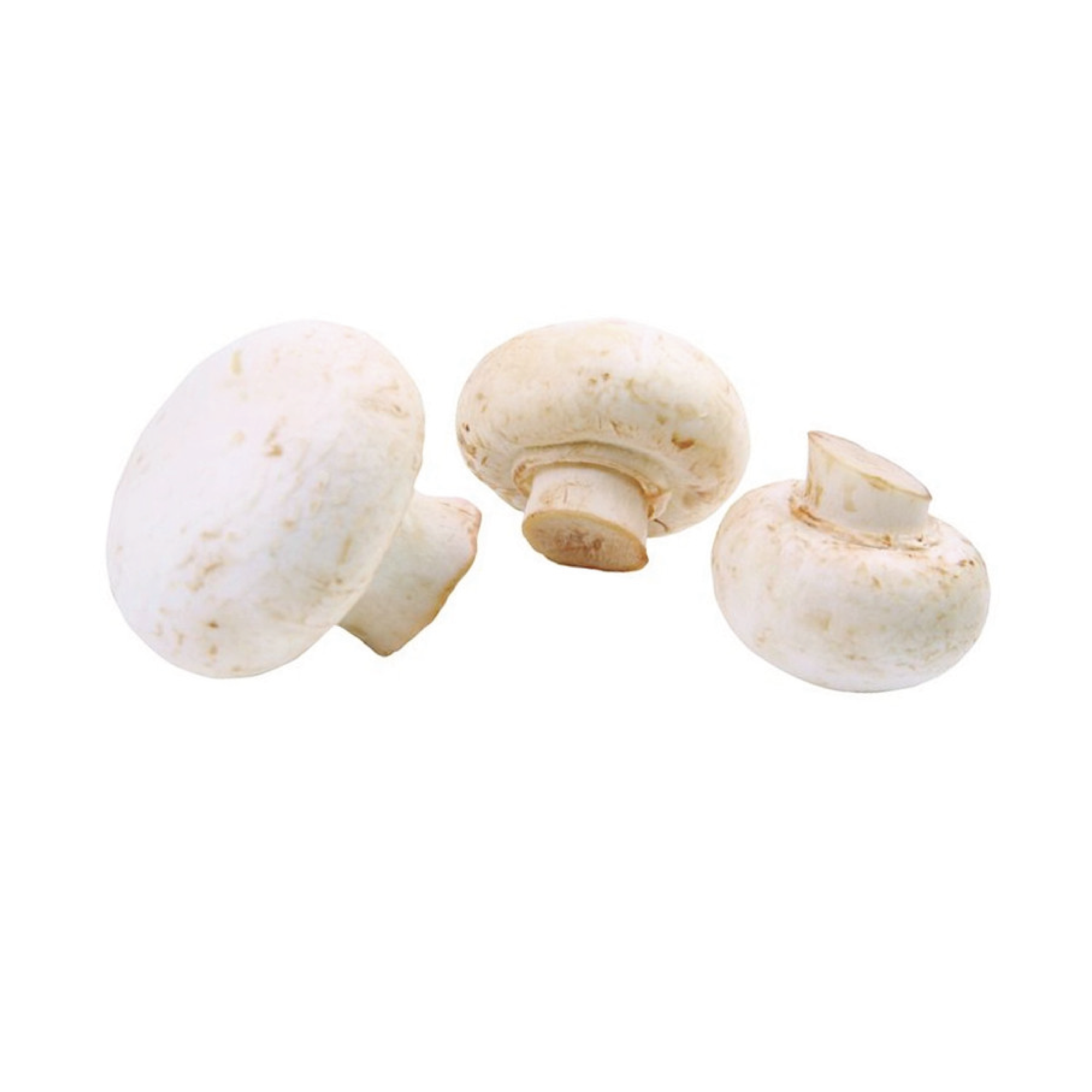 Funghi Champignon Bianchi: L'Ingrediente Versatile della Cucina