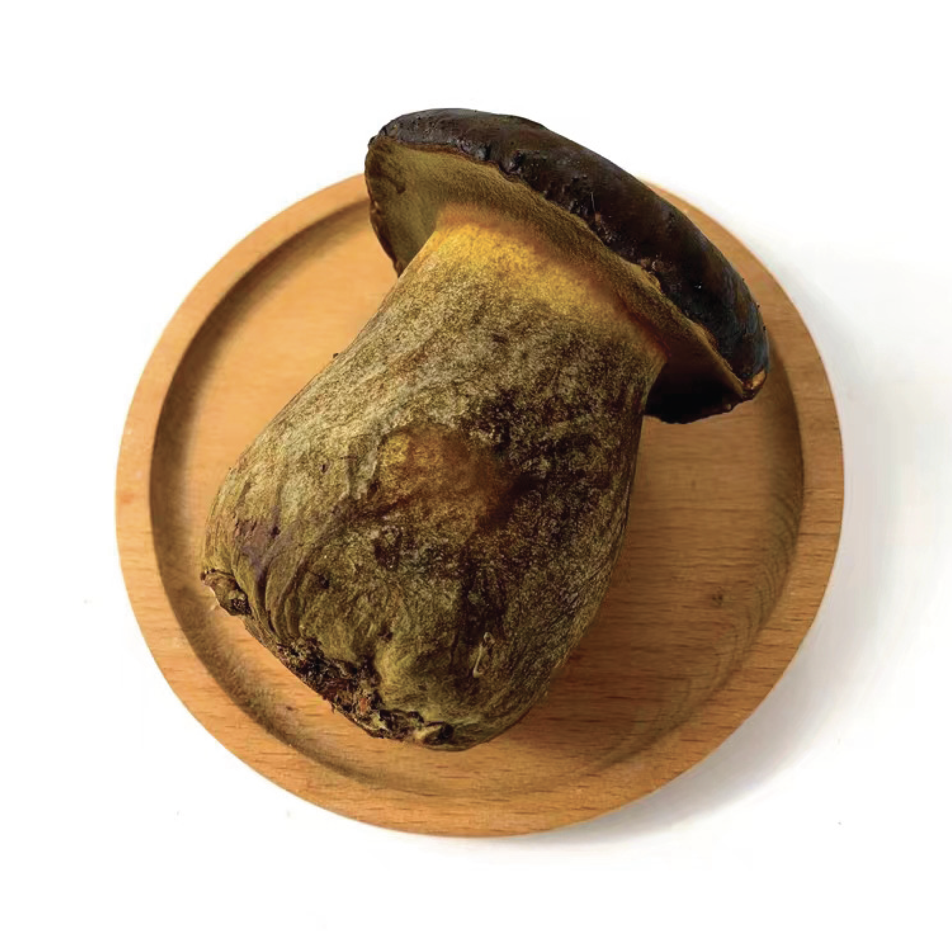 Boletus Edulis: El Rey de los Hongos