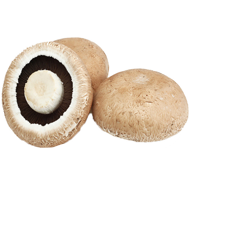 Hur säkerställer man en konsekvent kvalitet på storskaliga leveranser av Portobello?