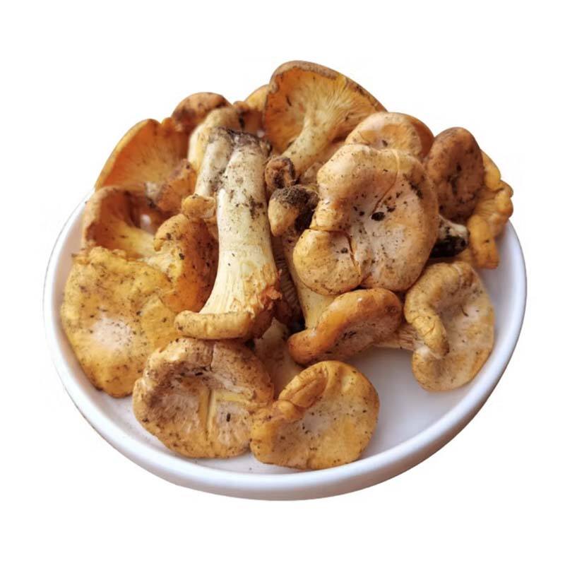 Svampmagi Från Shiitake till Kanterell Utforska Globala Smaker