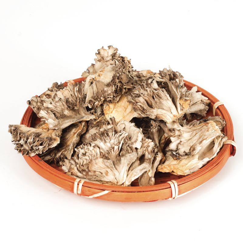 Maitake: El Asombroso Hongo que Promueve la Salud
