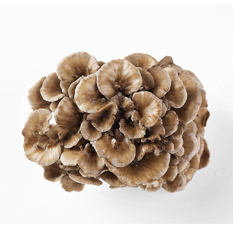 Maitake