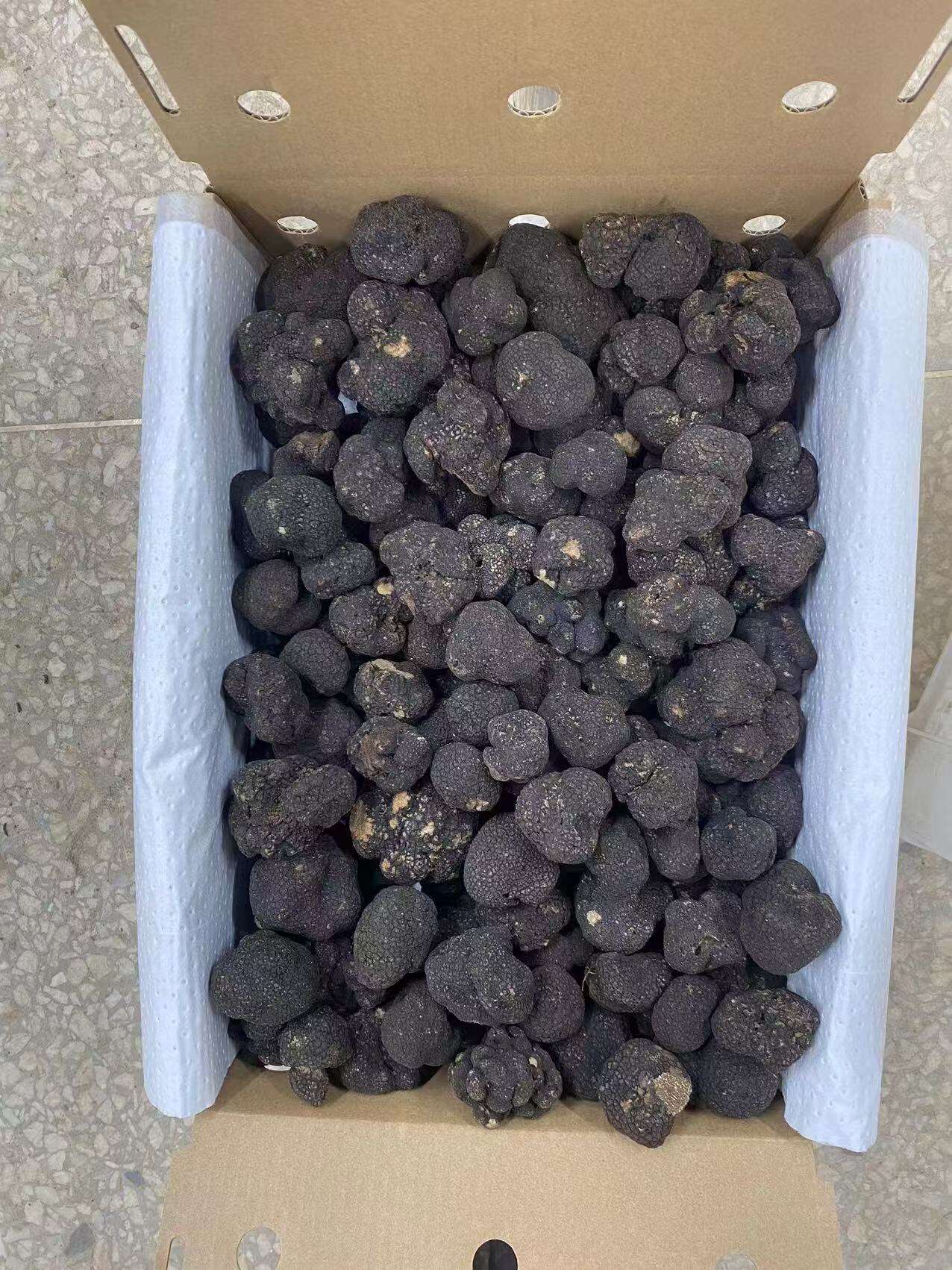 Trufa Negra: El Diamante del Mundo Culinario