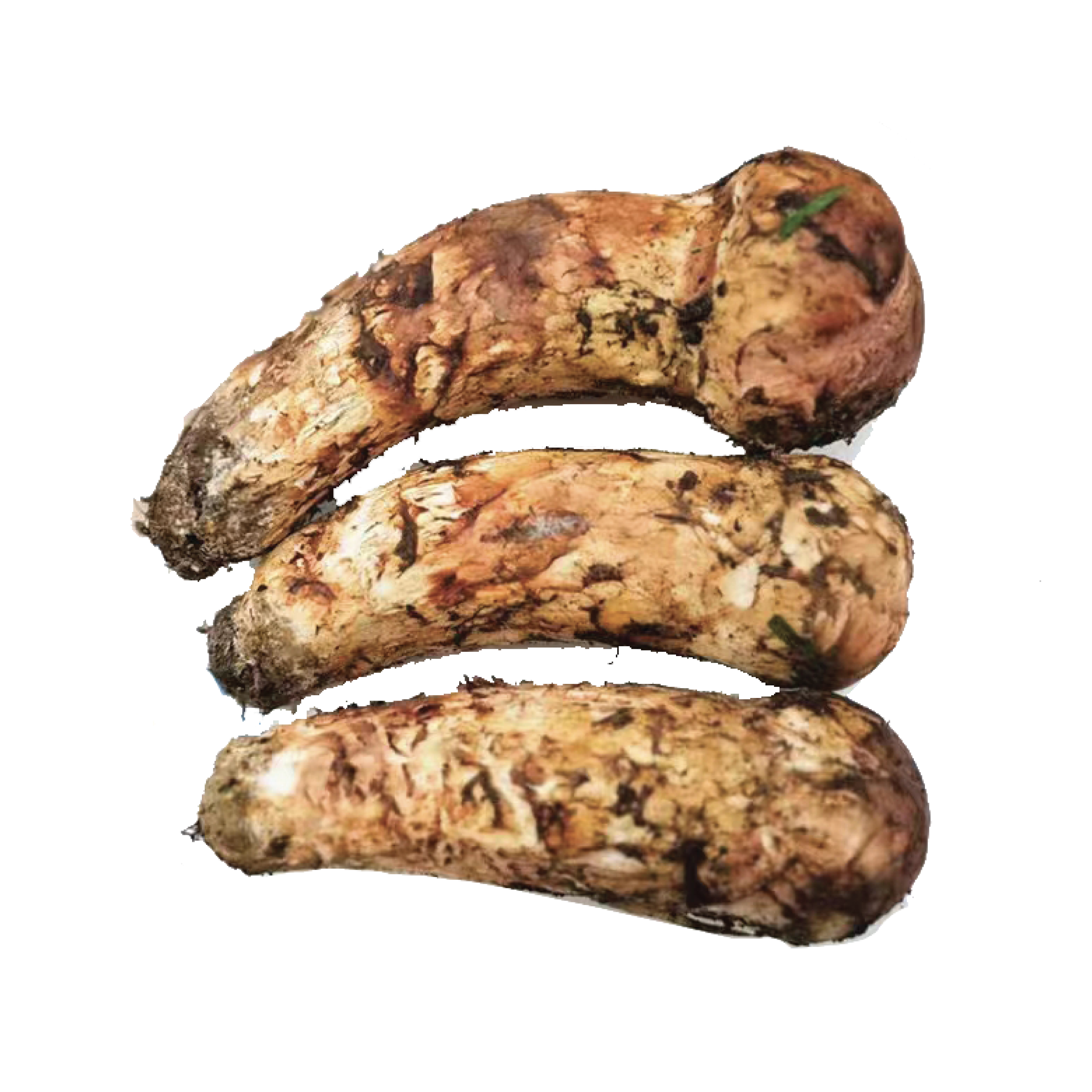 Matsutake: Nadir ve Üstün Lezzet