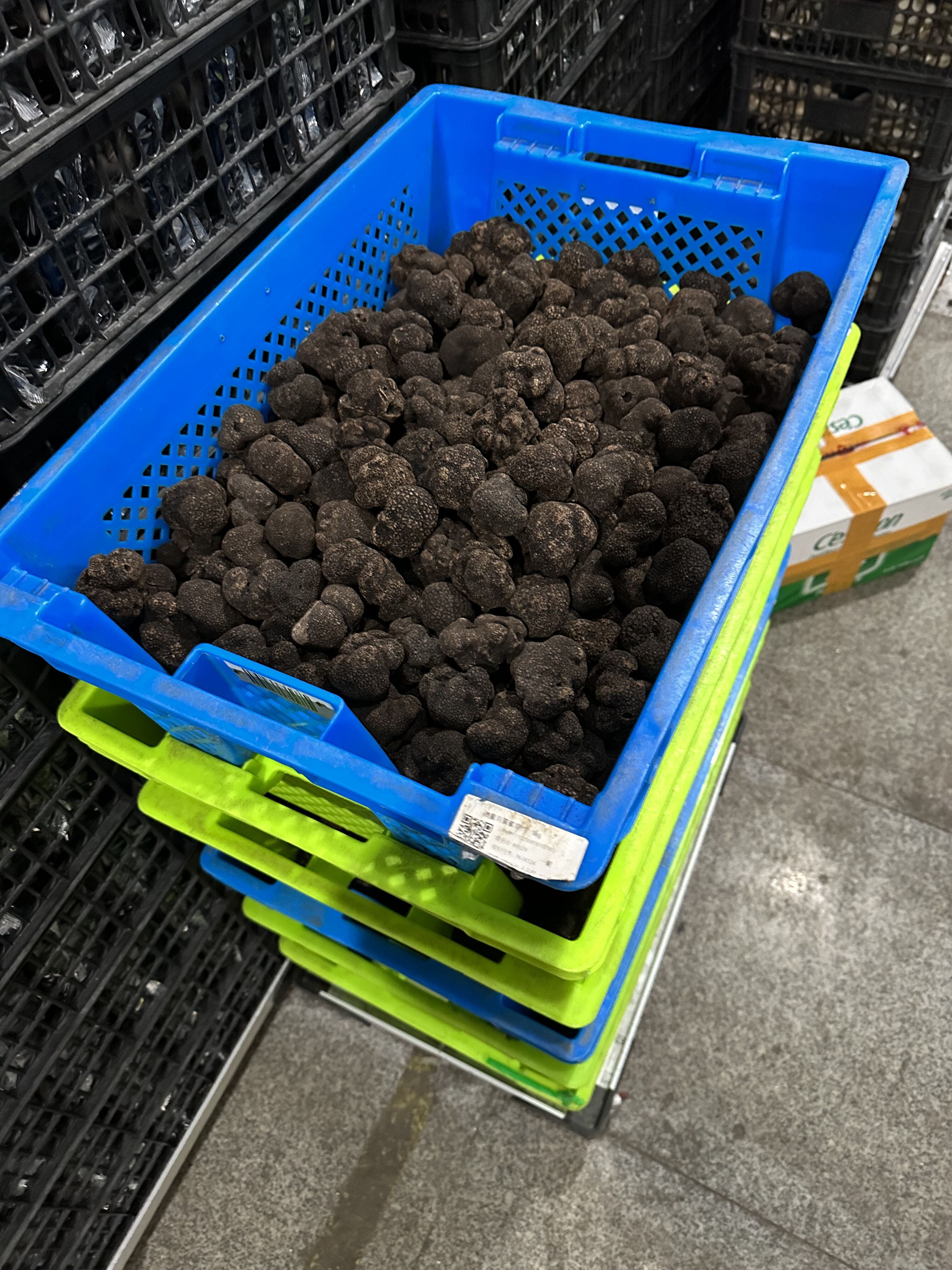 Waar authentieke oorspronkelijke zwarte truffels te vinden?