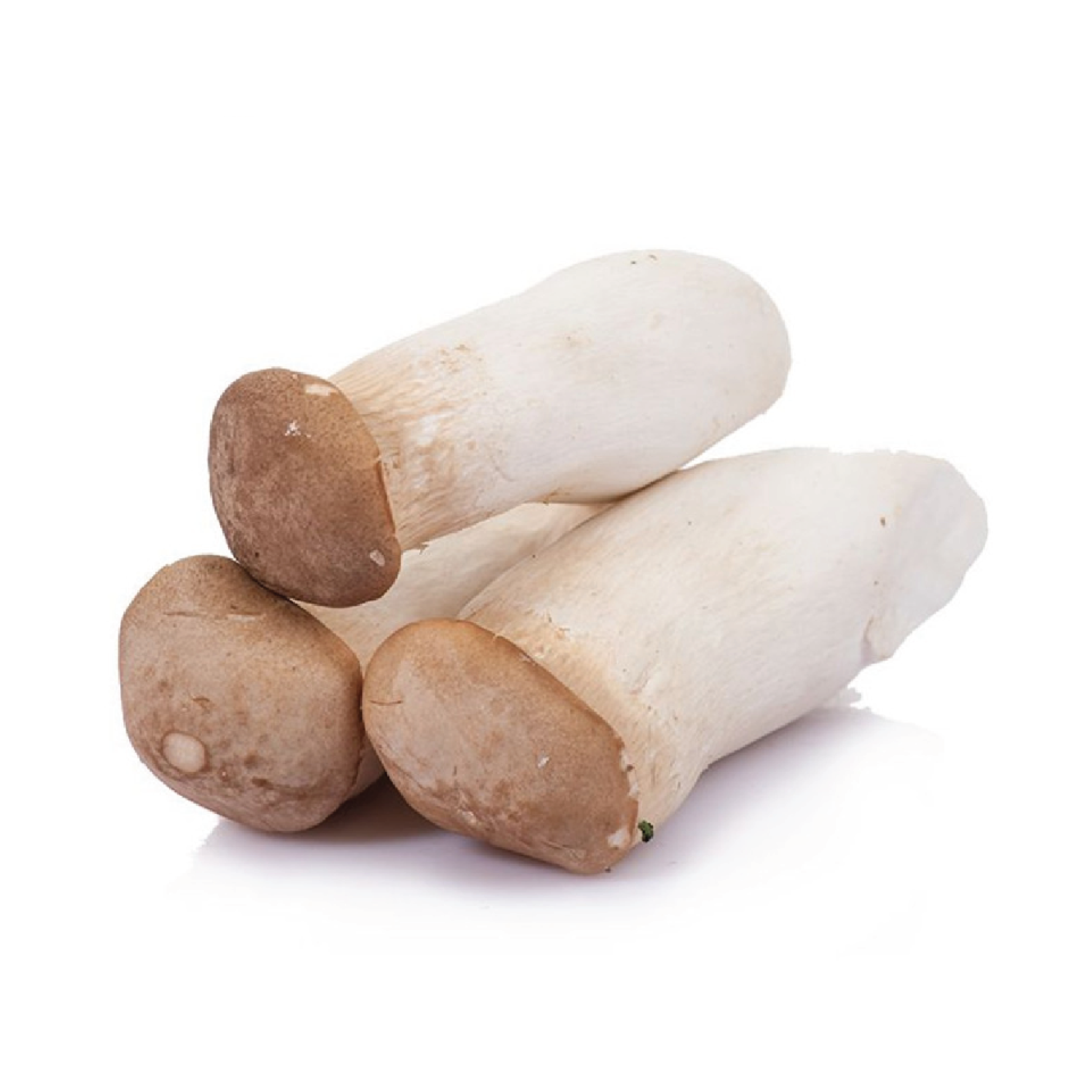 เห็ดทรัฟเฟิลทะเล: ของอร่อยที่มีเนื้อสัมผัสและรสชาติเข้มข้น