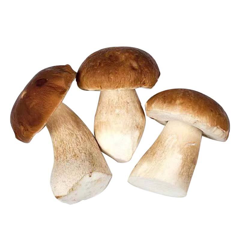 Porcini's Näringsrikedom: Protein, Fiber och Antioxidanter Förklarade