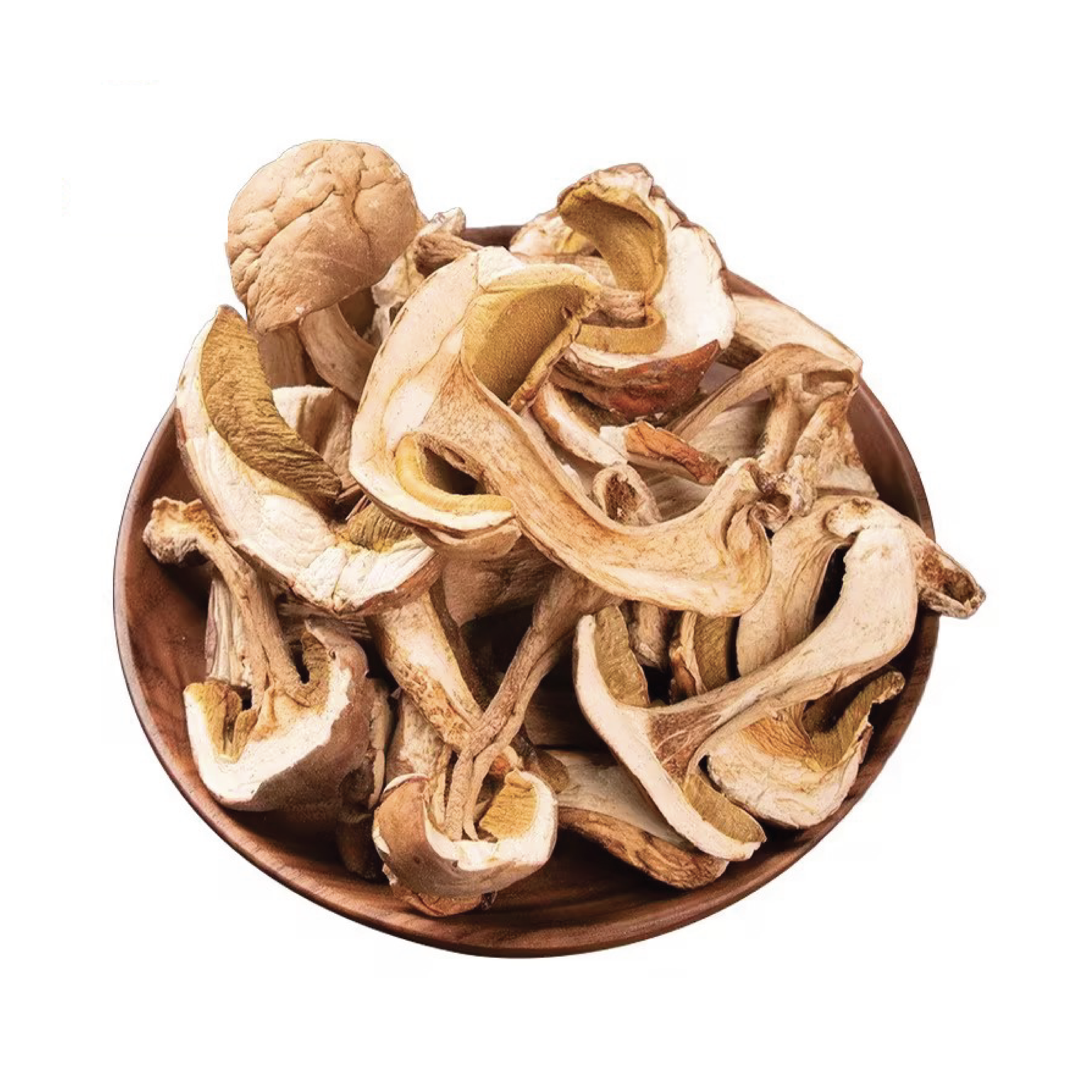 Boletus Edulis Plasterki