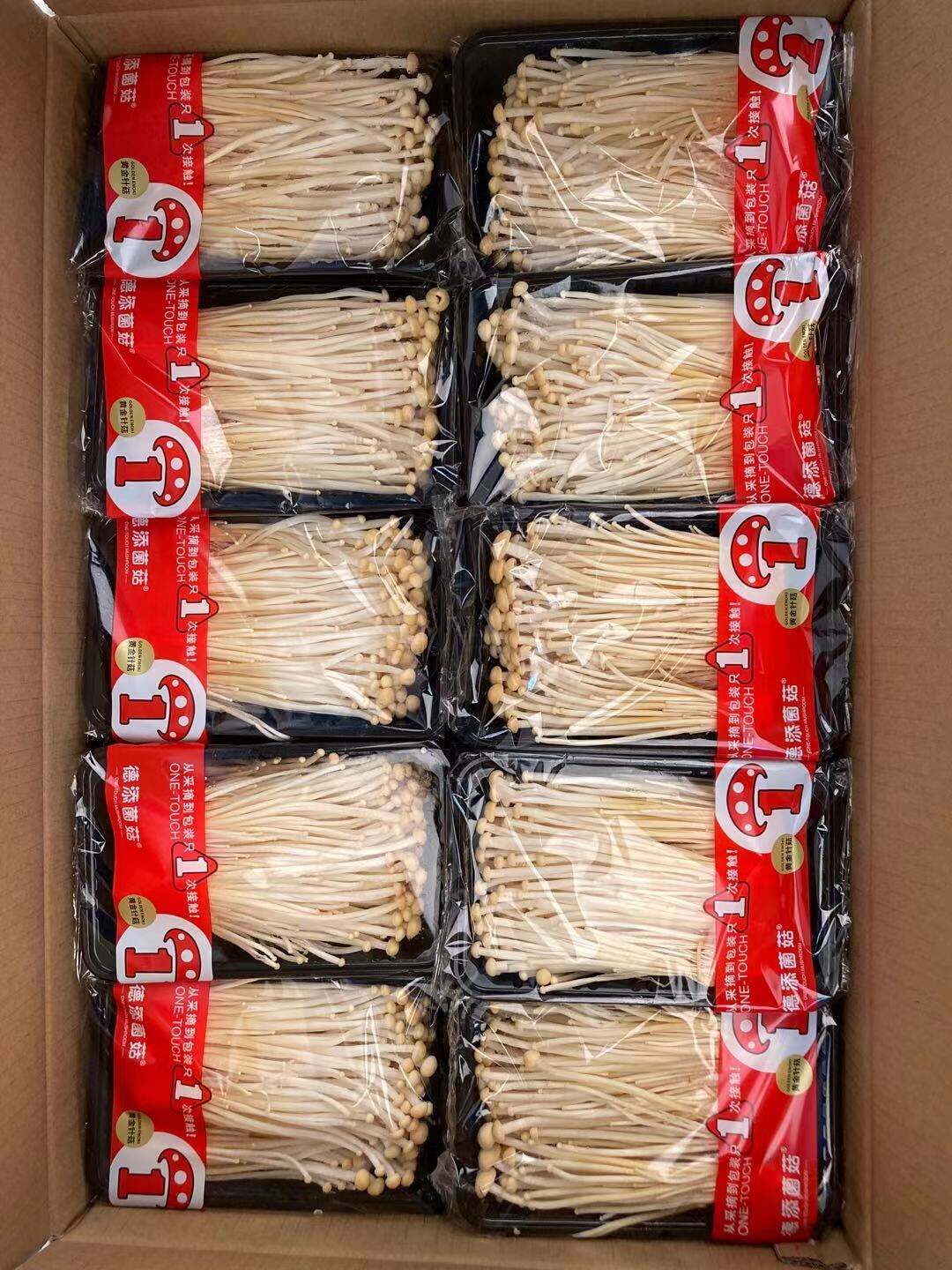 How to Buy Fresh Origin Enoki Mushrooms in Bulk?