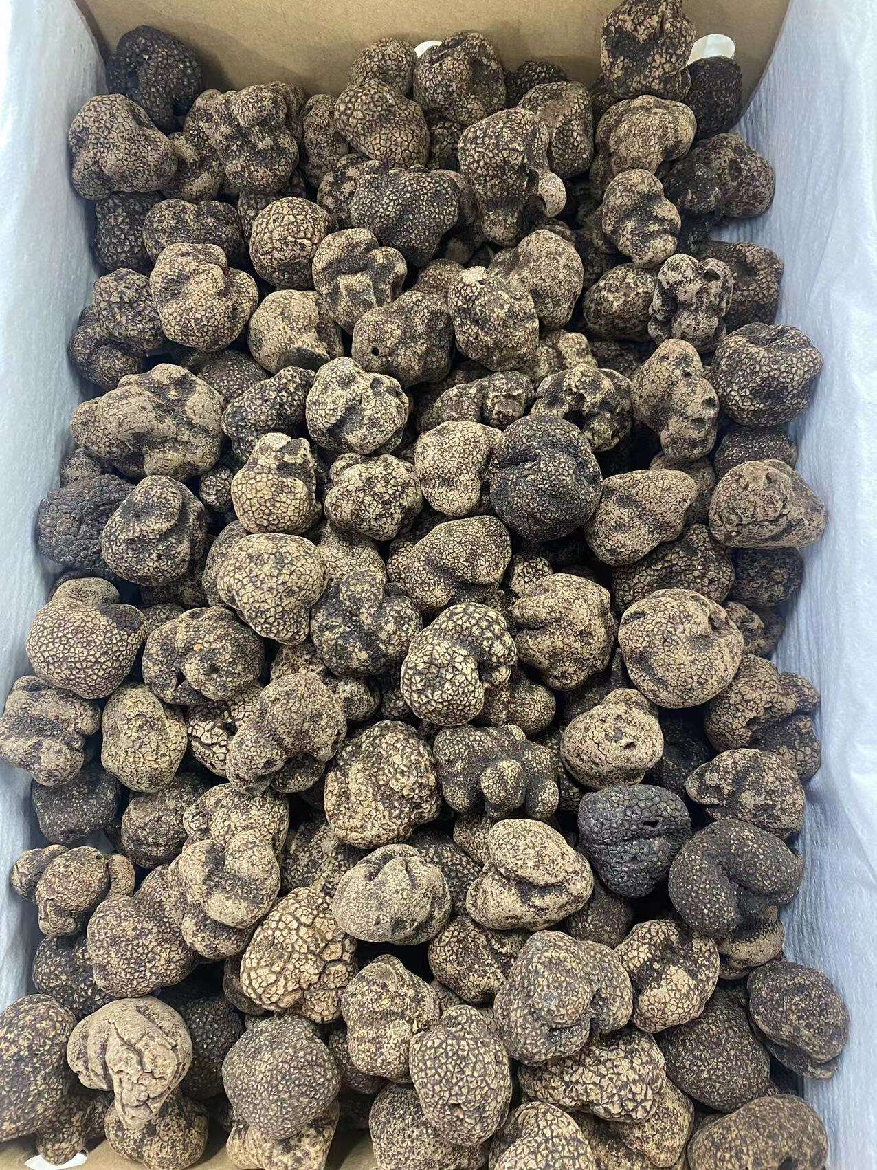 A kevesebb kezelés megőrzi a fekete epernyő frissességét és tisztaságát.