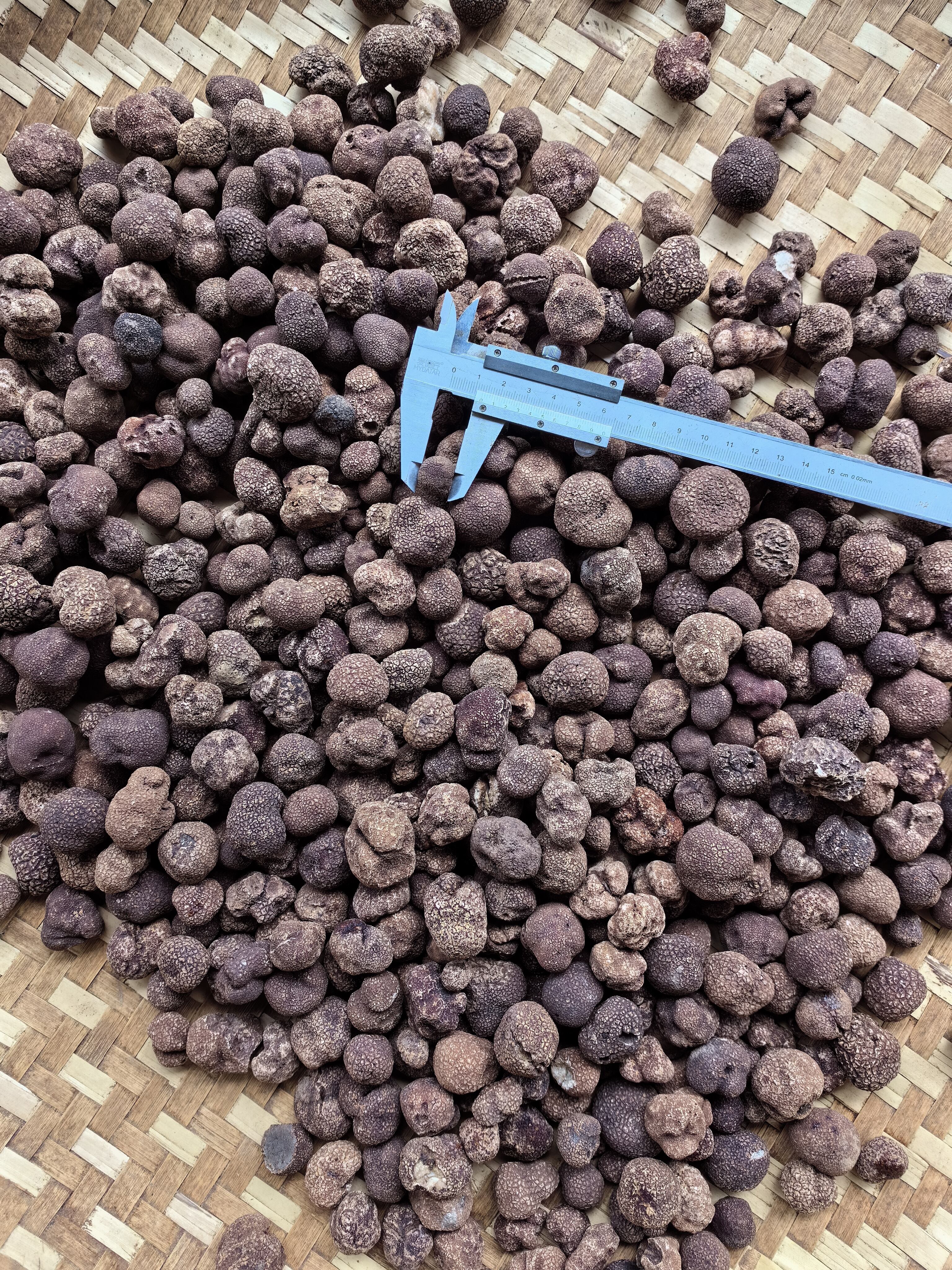 How does rapid pre-cooling affect black truffle?