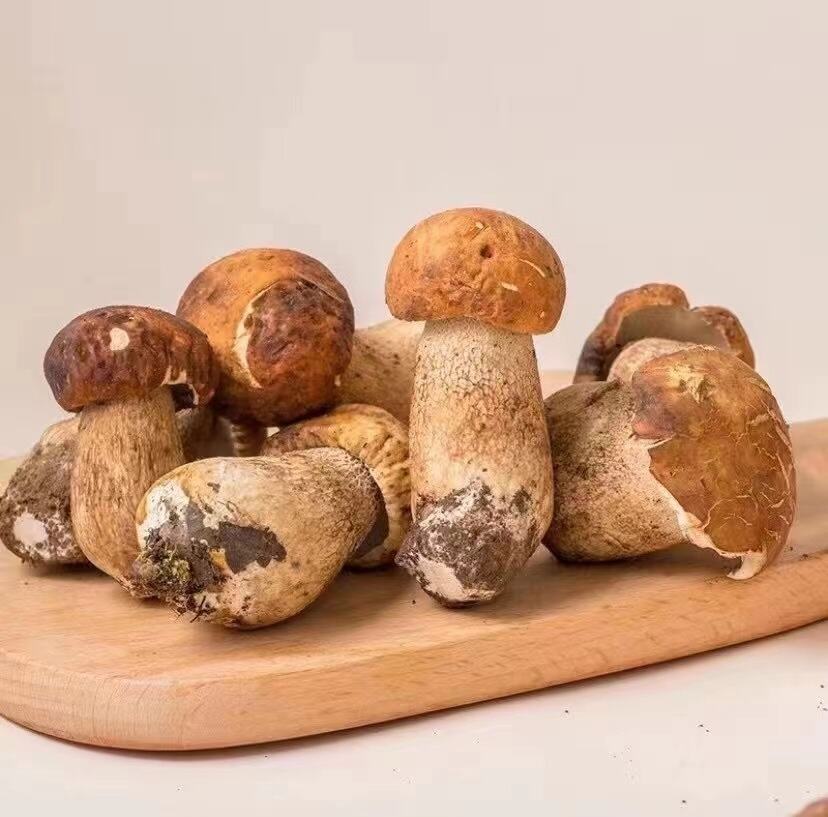 Long-Standing Use in Traditional Cuisine
