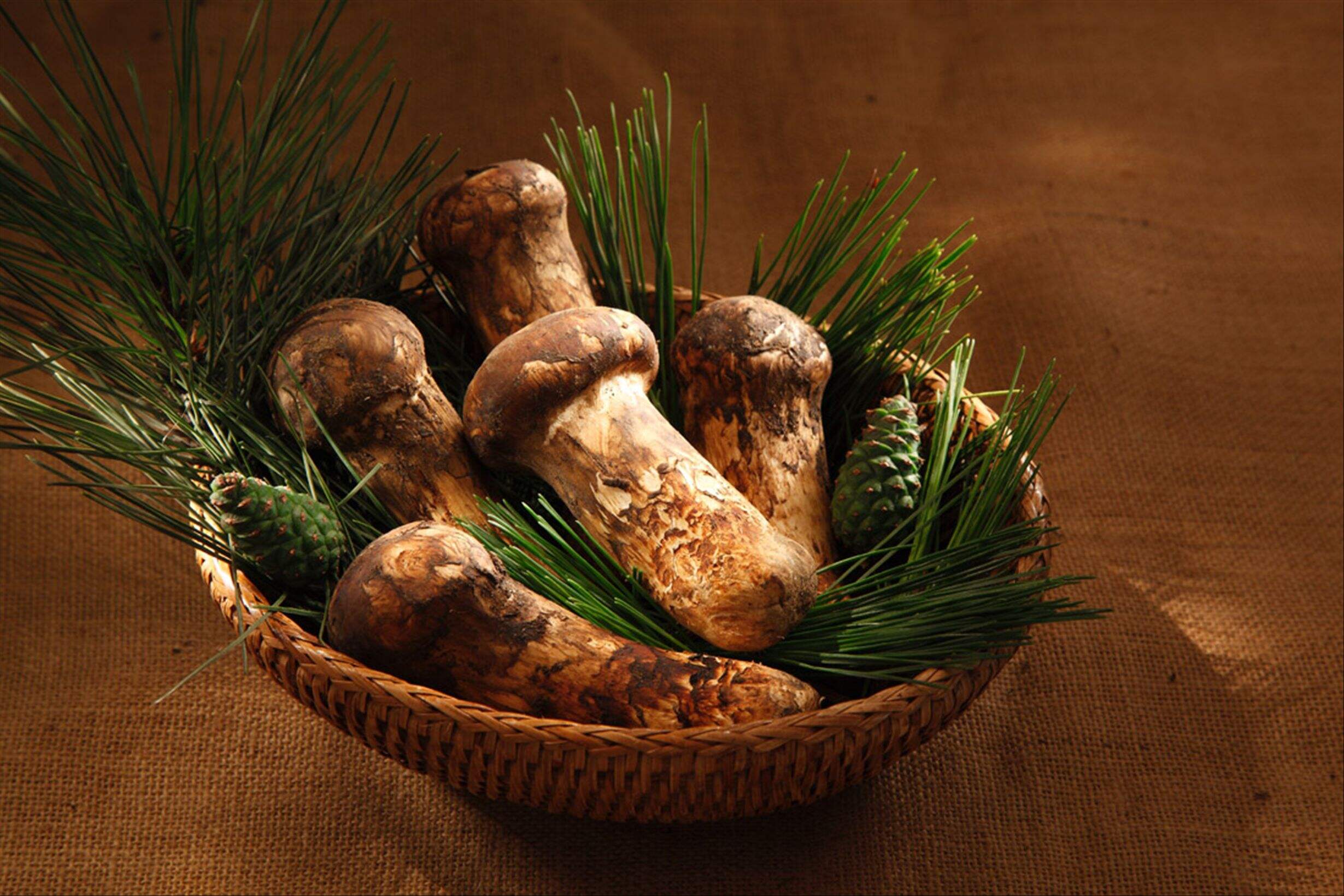 Varför matsutake-priser stiger: Sällsynta, skörd utfordringar och kulturell efterfrågan