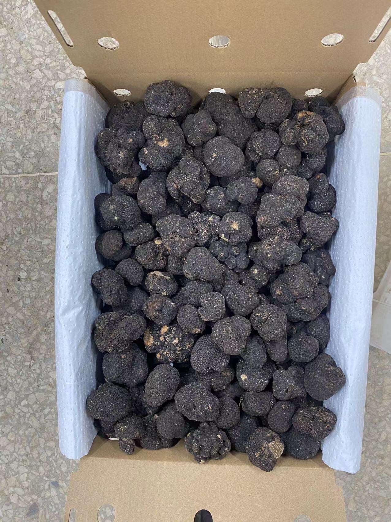 How to choose black truffle for restaurants?