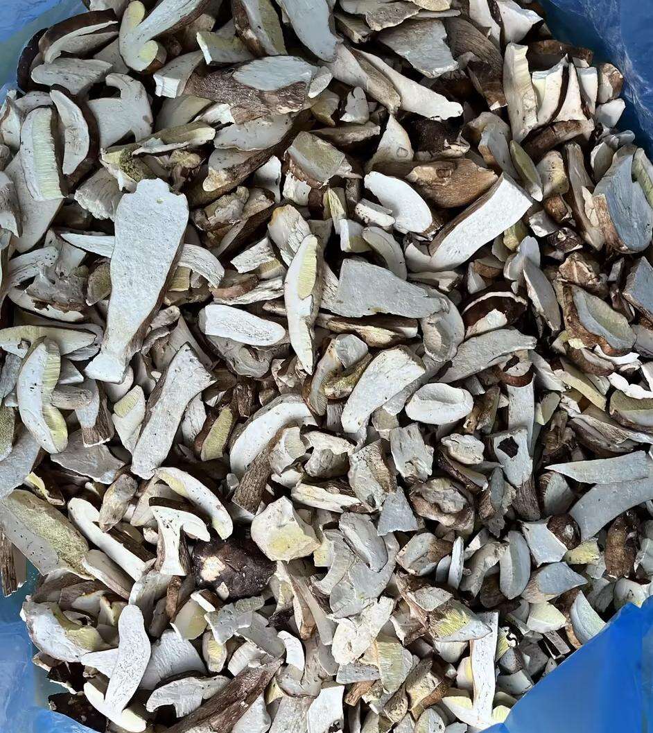 Teknolohiya ng Freeze-drying para sa masustansyang boletus
