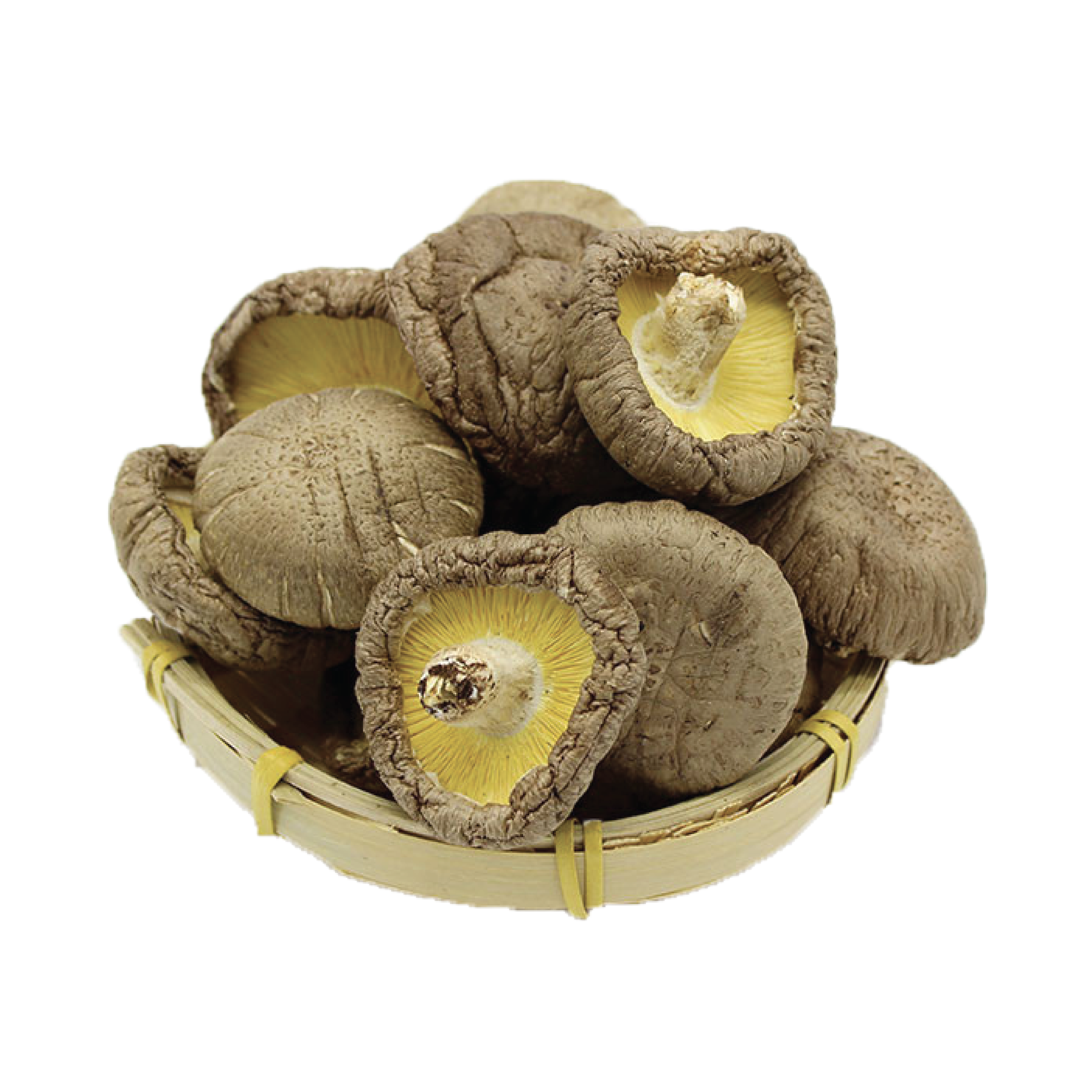 Shiitake Mushroom: The Aromatic and Nutritious Delight