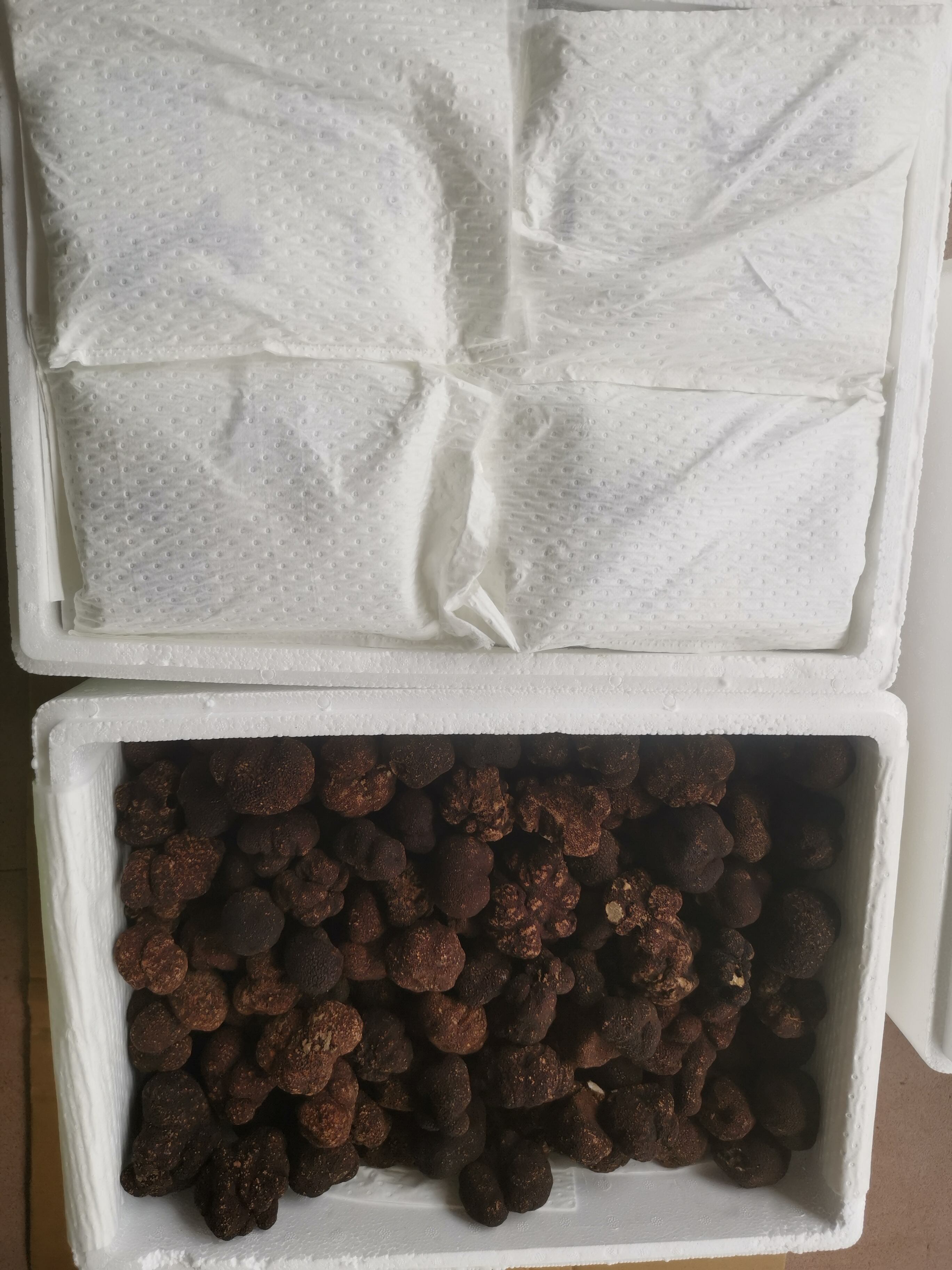 Hoe bewaart u zwarte truffels om de versheid langer te behouden?