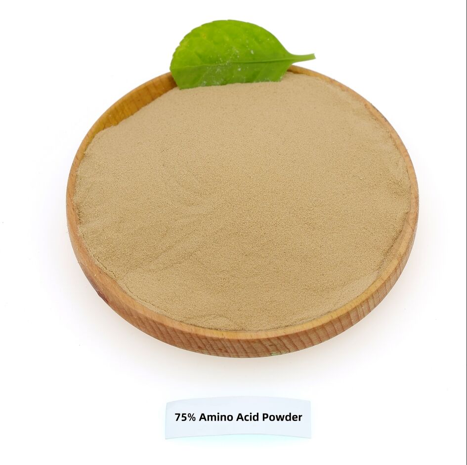 Widespread Use and Popularity of 75% Plant‑Derived Amino Acids in South America