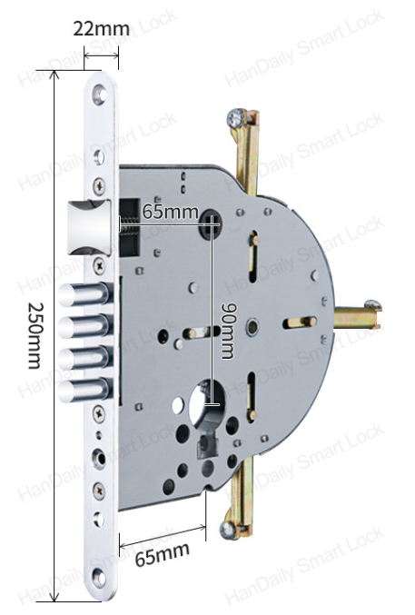 HanDaily Palm Face Recognition Smart Lock Tuya Wifi Video Monitoring Intercom Smart Door Lock with 6590 Mortise S9