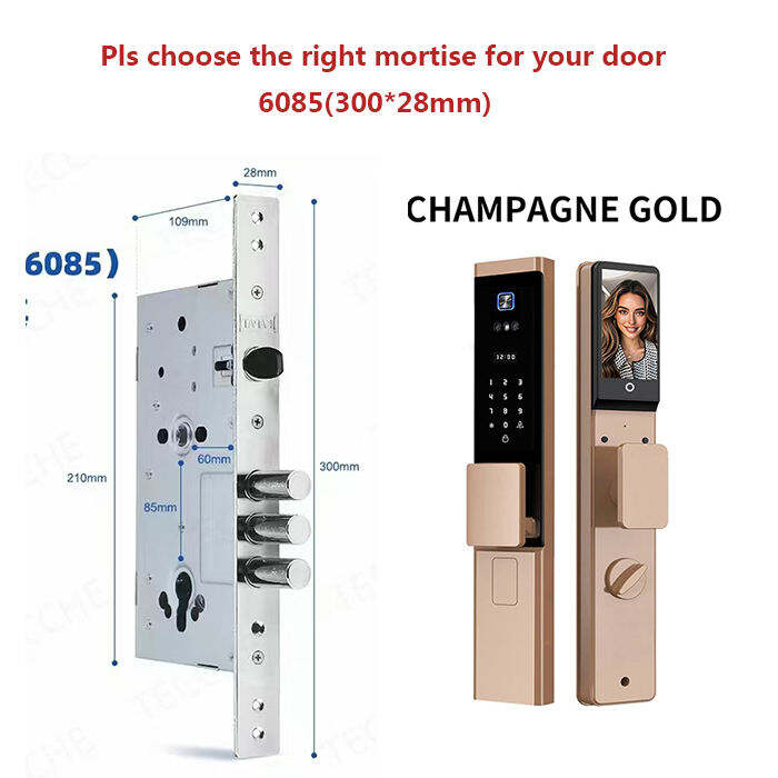 Waterproof Tuya APP Electronic Digital Locks 3D Face Recognition Biometric Fingerprint Smart Door Lock With Israel 6085 Mortise W8