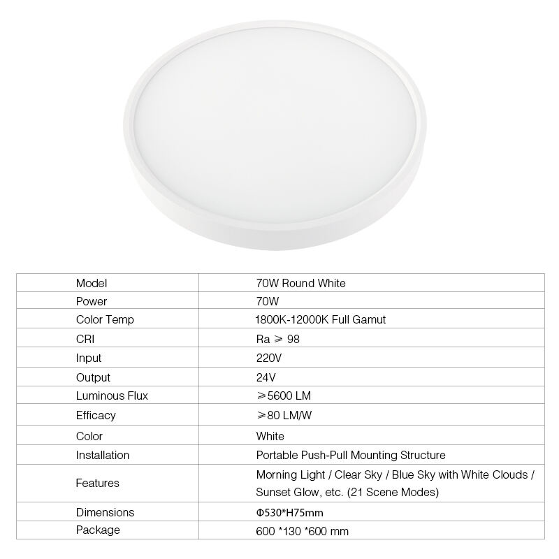 2025 modern simulated natural light color high end ceiling lamp suitable for bedroom living room-1