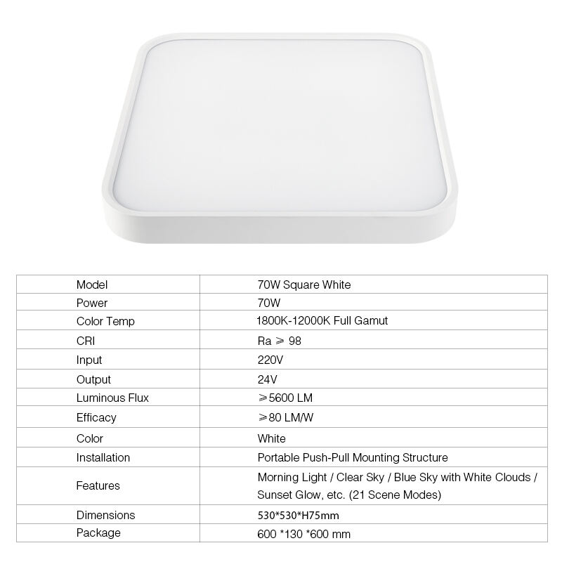 2025 modern simulated natural light color high end ceiling lamp suitable for bedroom living room-4