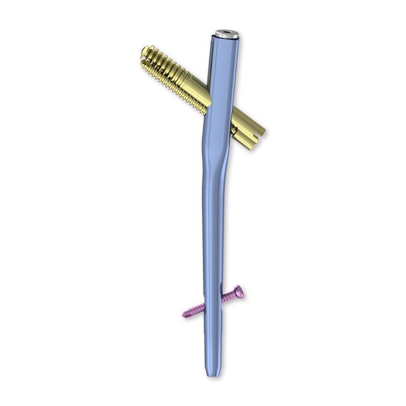 High Stability and Biocompatibility