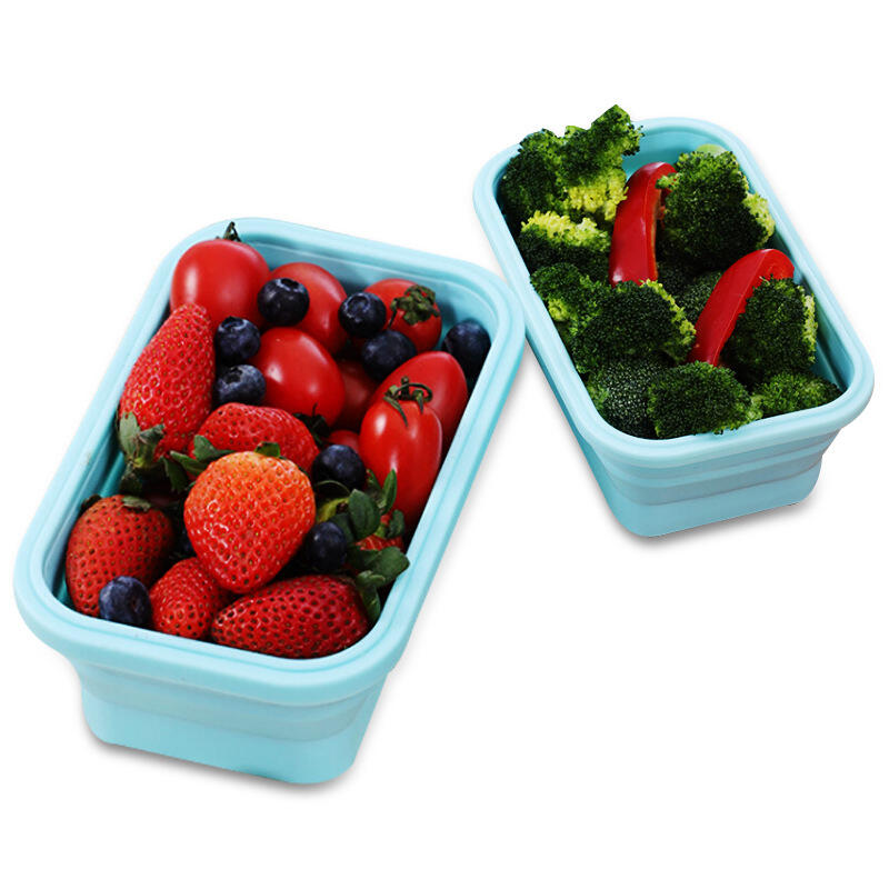 Comparaison des boîtes à déjeuner en silicone avec couvercle