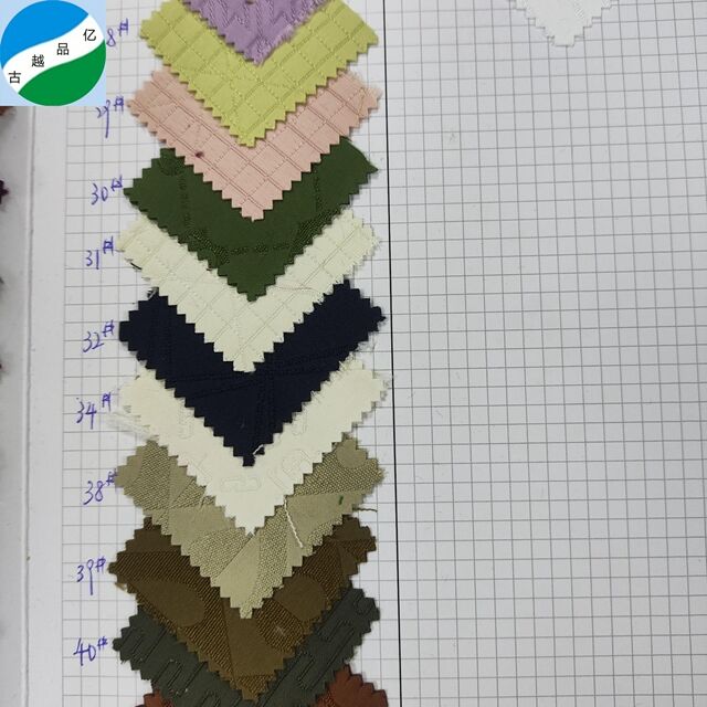 Popular 100% polyester embroidery jacquard fabric for garment home textile RS-250724-6