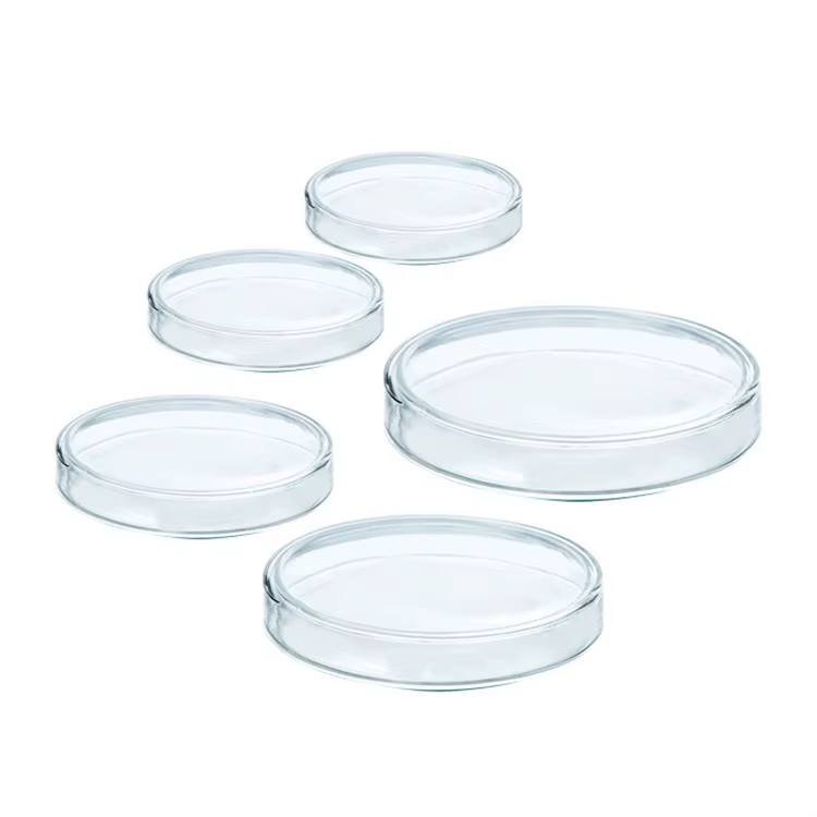 How to Select High-Quality Laboratory Glassware That Lasts