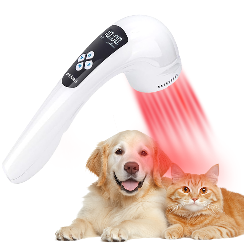Veterinary Pain 