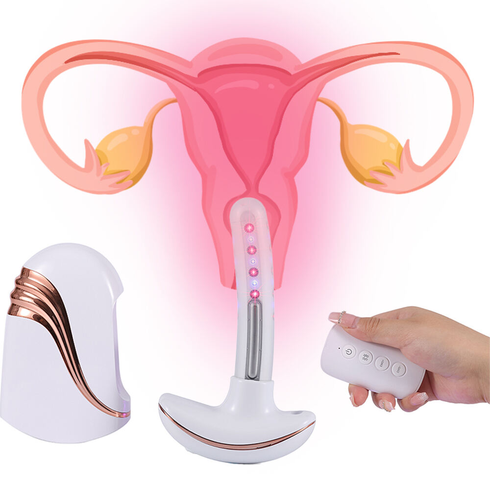 Urinary Incontinence Vaginal Reduce Bacteria Feminine Yeast Infection Cold Laser EMS Tightening Vagina