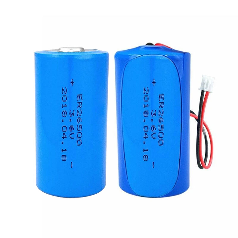 Lisocl2 3,6v 9000mah er10450 er12150 er14250 er14335 er18505 er34615 batteries au lithium c 8500mah er26500 avec connecteur