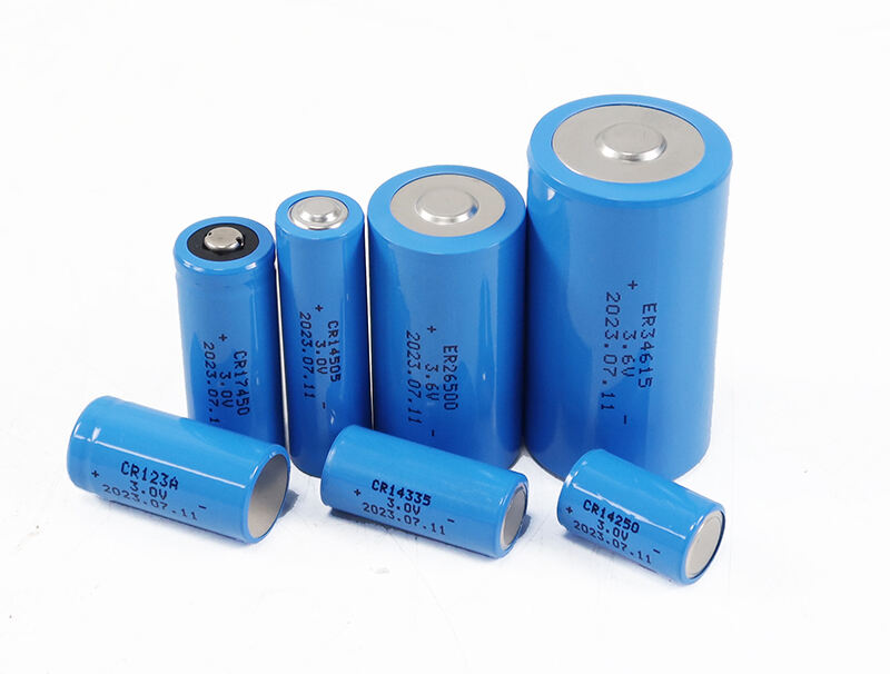 Li-SoCl2 Battery