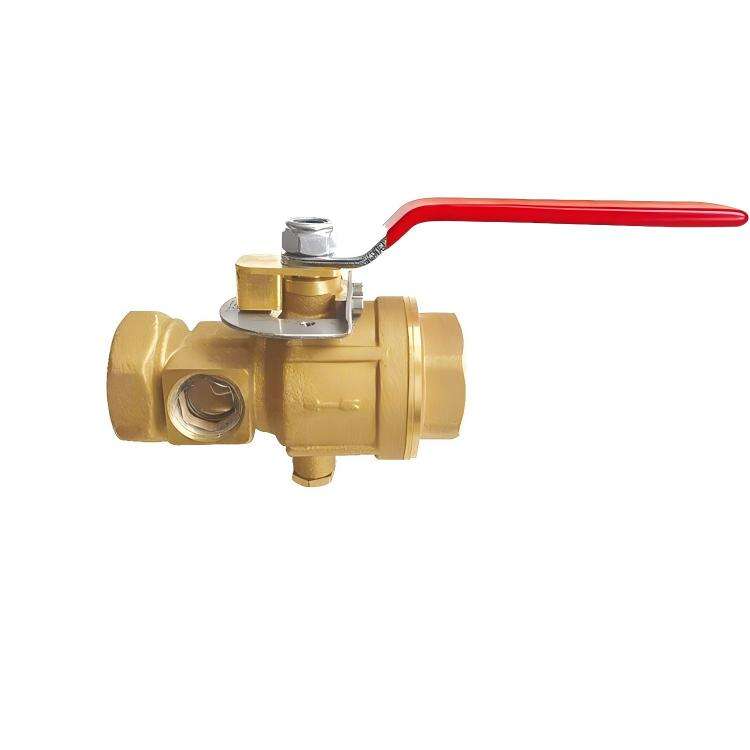 Test & Drain Valve
