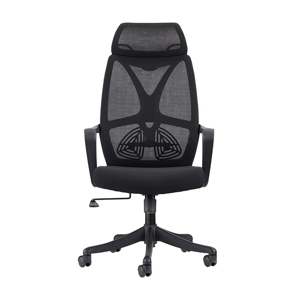 Reclining Chairs with Lumbar Support - Targeted Back Support