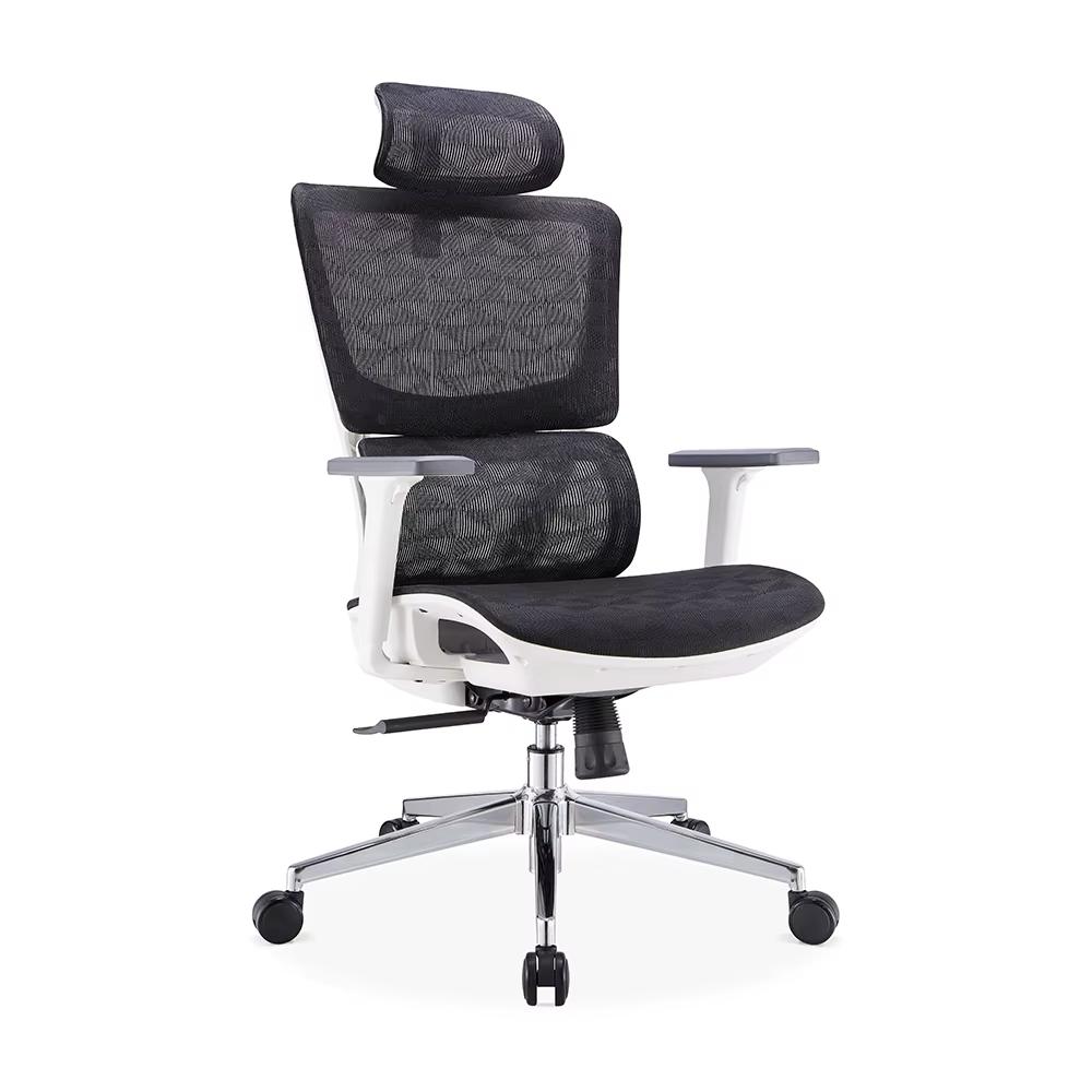 Sillas de Oficina Ergonómicas - Confort certificado para mercados de habla española