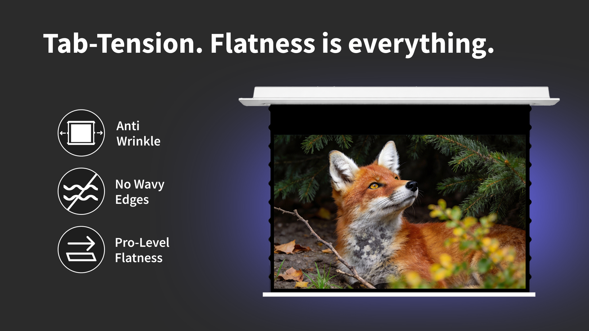 Cirrus-desktop (5).png