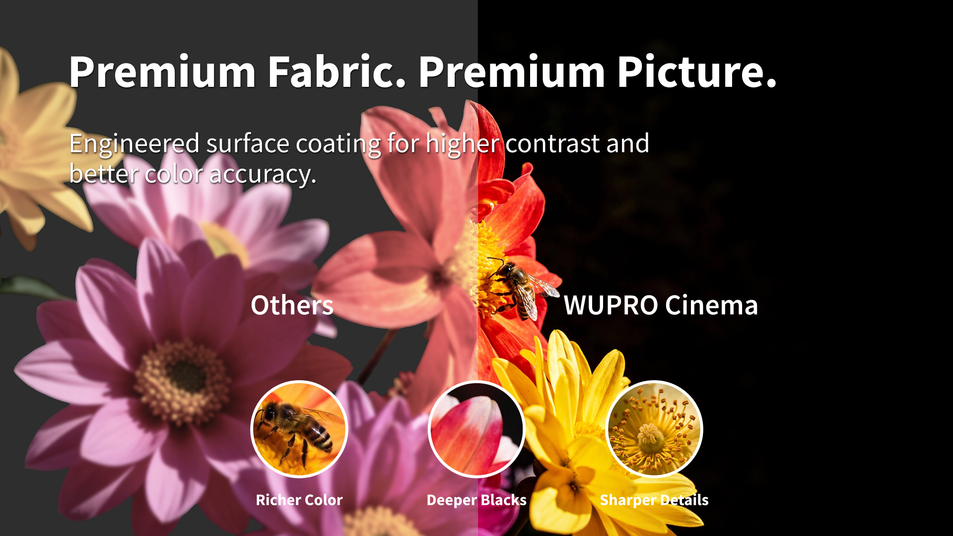 Cirrus-desktop (4).png