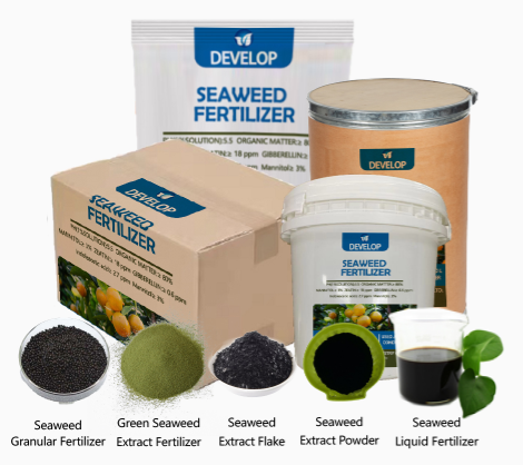 The Role of Organic Fertilizers in Sustainable Agriculture