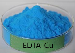 EDTA-Cu: The Essential Copper Fertilizer for Improved Plant Growth