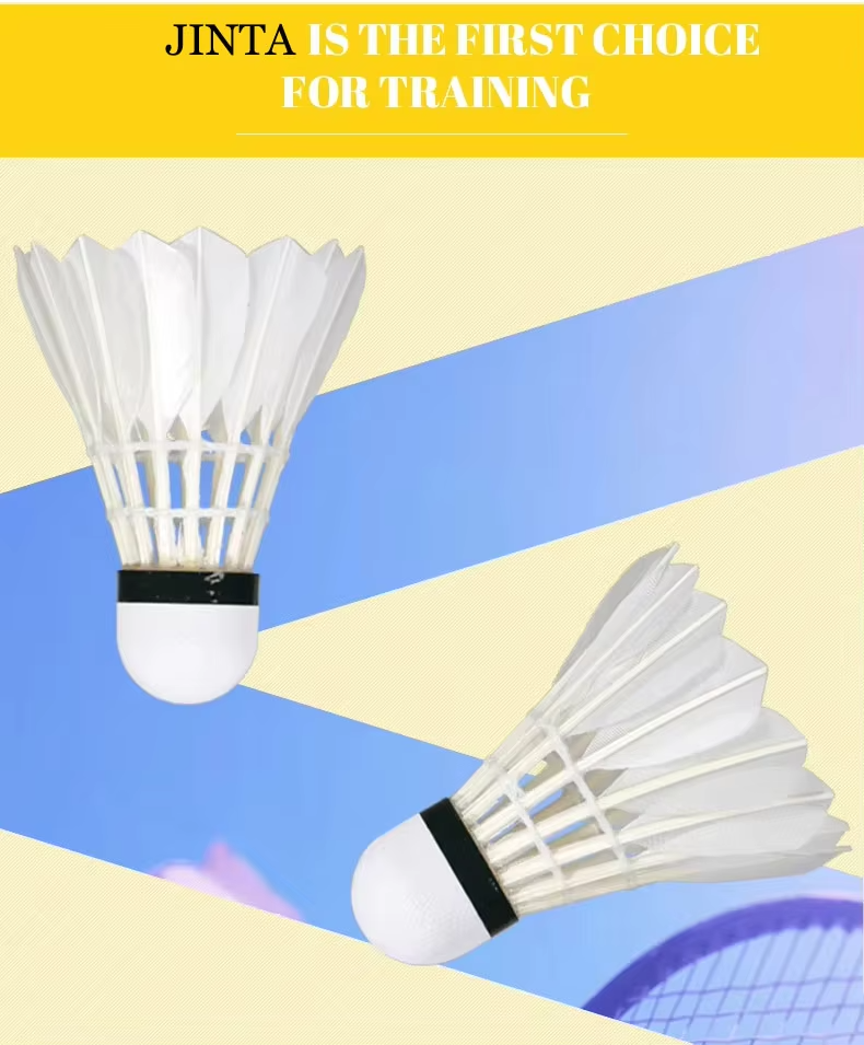 실내 배드민턴 경험을 우리 셔틀콕과 함께 업그레이드하세요