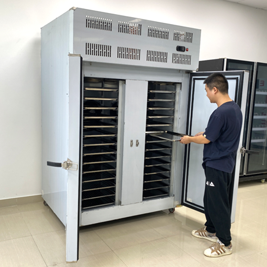 Pagpili ng Pinakamahusay na Blast Freezer o Chiller